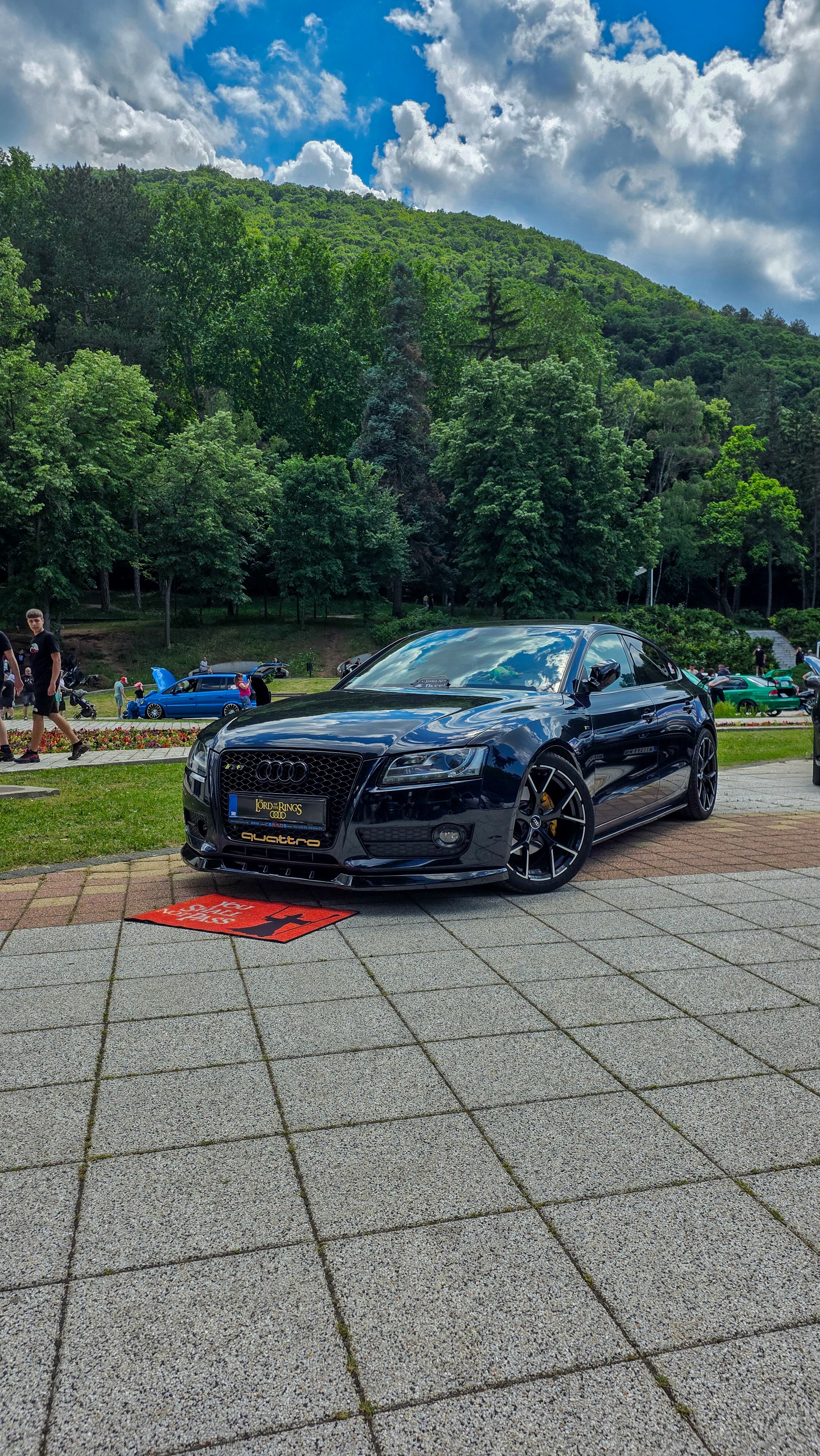 2010 Audi A5